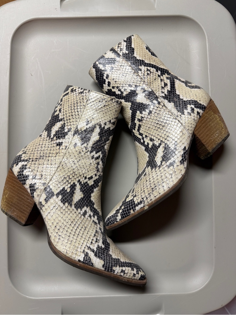Matisse Snake-Print Ankle Boots